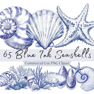 Paquete de imágenes prediseñadas de conchas marinas en tinta azul, elementos náuticos oceánicos en acuarela PNG, decoración de playa, conchas, estrellas de mar y corales para tarjetas, planificadores e invitaciones.