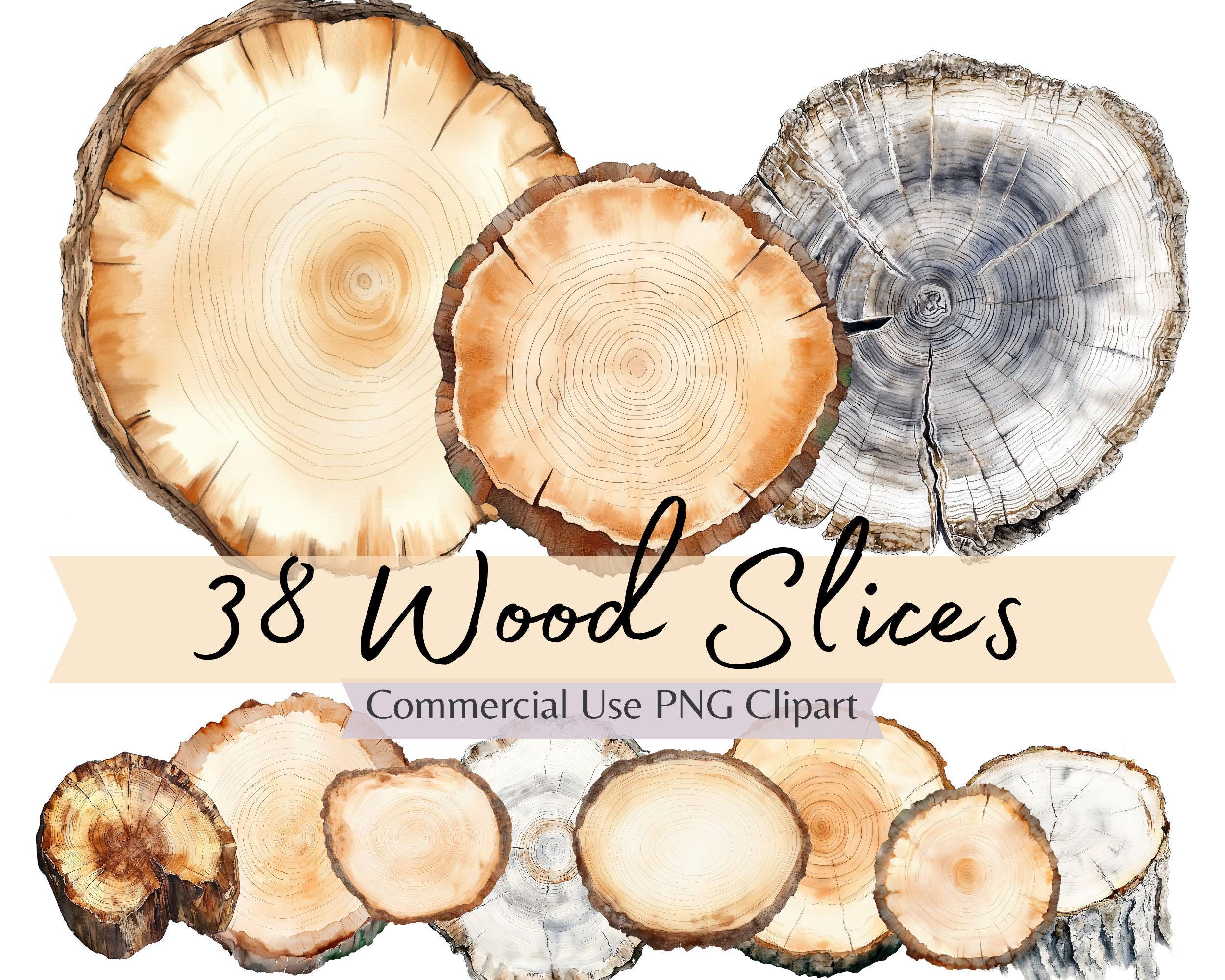 Watercolor Wood Slices Clipart, Rustic Tree Ring PNG, Forest Tree Cross Section Illustrations for Scrapbooking, Journals, Commercial Use