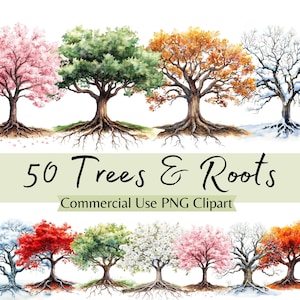 Aquarelle arbres et racines Clipart, mystique, générationnel, familial, celtique arbre de vie PNG Clip Art, lot pour carnets indésirables, albums de coupures