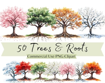 Può includere: 50 illustrazioni ad acquerello di alberi con radici in diverse stagioni. Gli alberi sono in tonalità di rosa, verde, arancione, marrone, rosso e bianco. Il testo "50 Trees & Roots Commercial Use PNG Clipart" è visualizzato su uno stendardo verde.