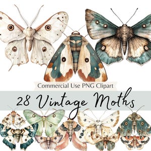 Vintage Motte Aquarell Clipart Bundle, mystische Motten PNG Illustrationen für Papierhandwerk, Junk Journals, Scrapbooking, Planer, Aufkleber