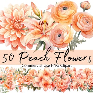 Aquarel perzik bloemen clipart, perzik bloemen boeket arrangementen, PNG digitale download commercieel gebruik, Boho Boho huwelijksuitnodigingen