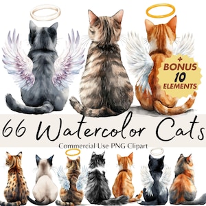 Lot de cliparts aquarelle de races de chat, ailes d'ange chat, halo et chatons, graphiques PNG pour les amoureux des animaux de compagnie et cadeaux personnalisés