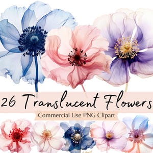 Fleurs translucides de clipart aquarelle abstraite, Bundle PNG floral éthéré, téléchargement numérique pour albums de coupures, agendas, Invitations, cartes