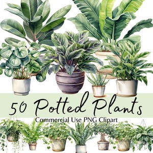 Imágenes prediseñadas de plantas de interior en macetas con acuarela, vegetación y follaje PNG, gráficos de plantas de interior, para álbumes de recortes, diarios basura, manualidades de papel, planificadores