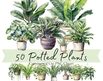Watercolor Potted House Plants Clipart, Greenery and Foliage PNG Indoor Plants Graphics, for Scrapbook, Junk Journal, Paper Crafts, Planners