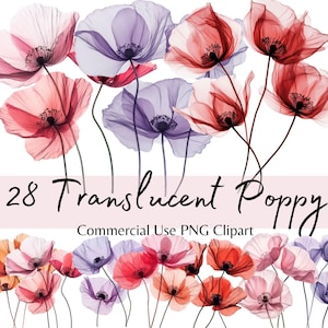 Clipart de papoula aquarela translúcida, pacote de flores vermelhas em PNG, flores silvestres etéreas para scrapbooking, planejadores, cartões, convites de casamento