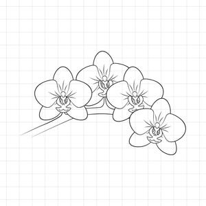 Orchideen Motiv Clipart - SVG, AI, PNG