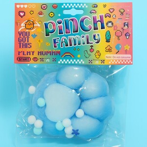 May include: A blue, cloud-shaped toy in a clear plastic bag. The packaging features the words "Pinch Family" and "You Got This" with pixelated graphics. The toy is a light blue color with white accents and small white spheres.