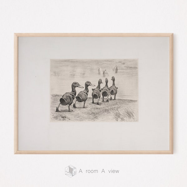 Goslings Squad in Meadow: Vintage Goose Etching, Riverside Landscape, Minimalist Animal Sketch, Neutral Farmhouse Wall Art, Digital Download