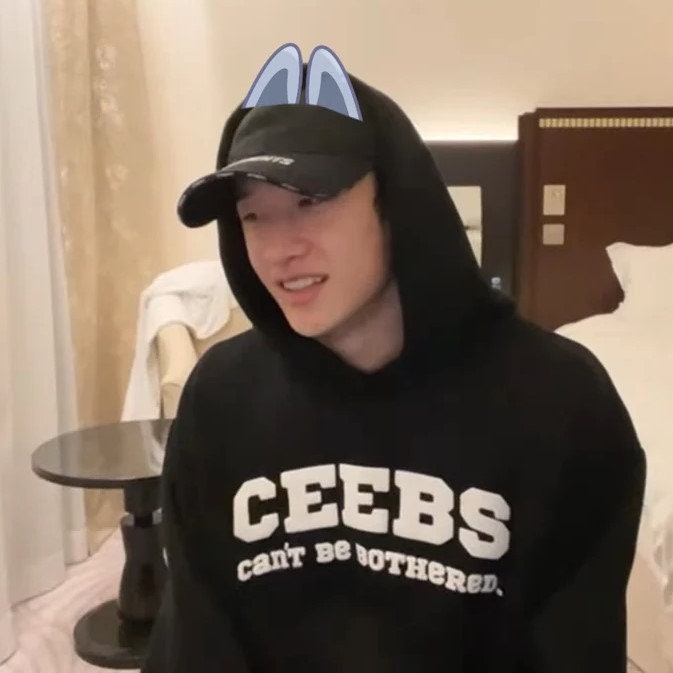Bang best sale chan hoodie