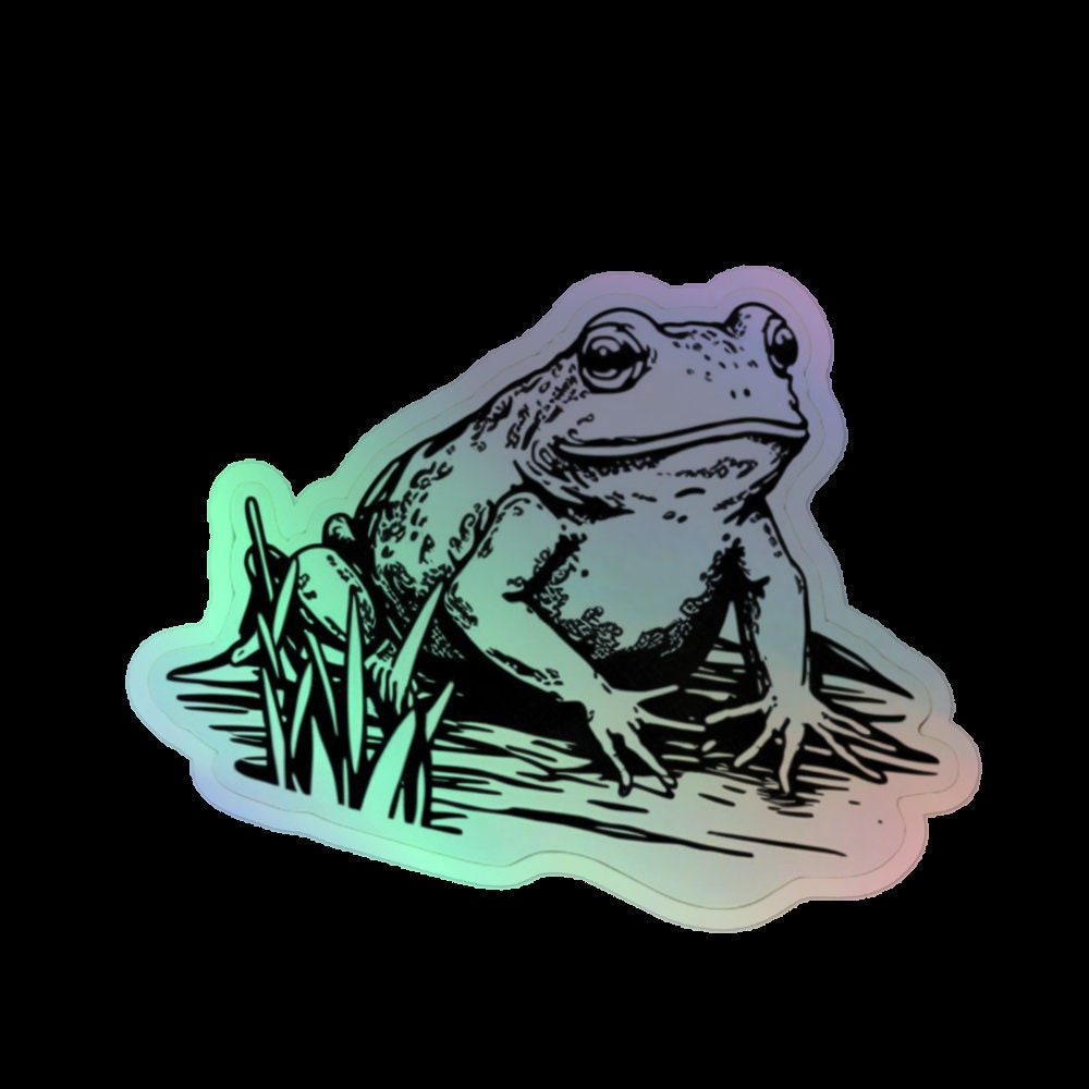 Holographic Frog Sticker – Rainbow Prism Vinyl Decal - Etsy
