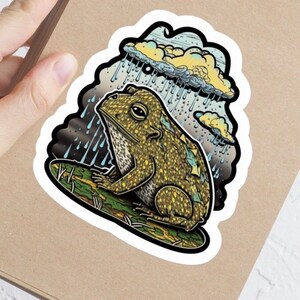 Rain Frog with Clouds Bubble-free stickers   | Water Bottles, Laptops, and Notebooks - Perfect for Frog Lovers!