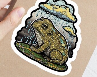 Sticker regenkikker | Weerbestendige vinylsticker voor laptop, bidon