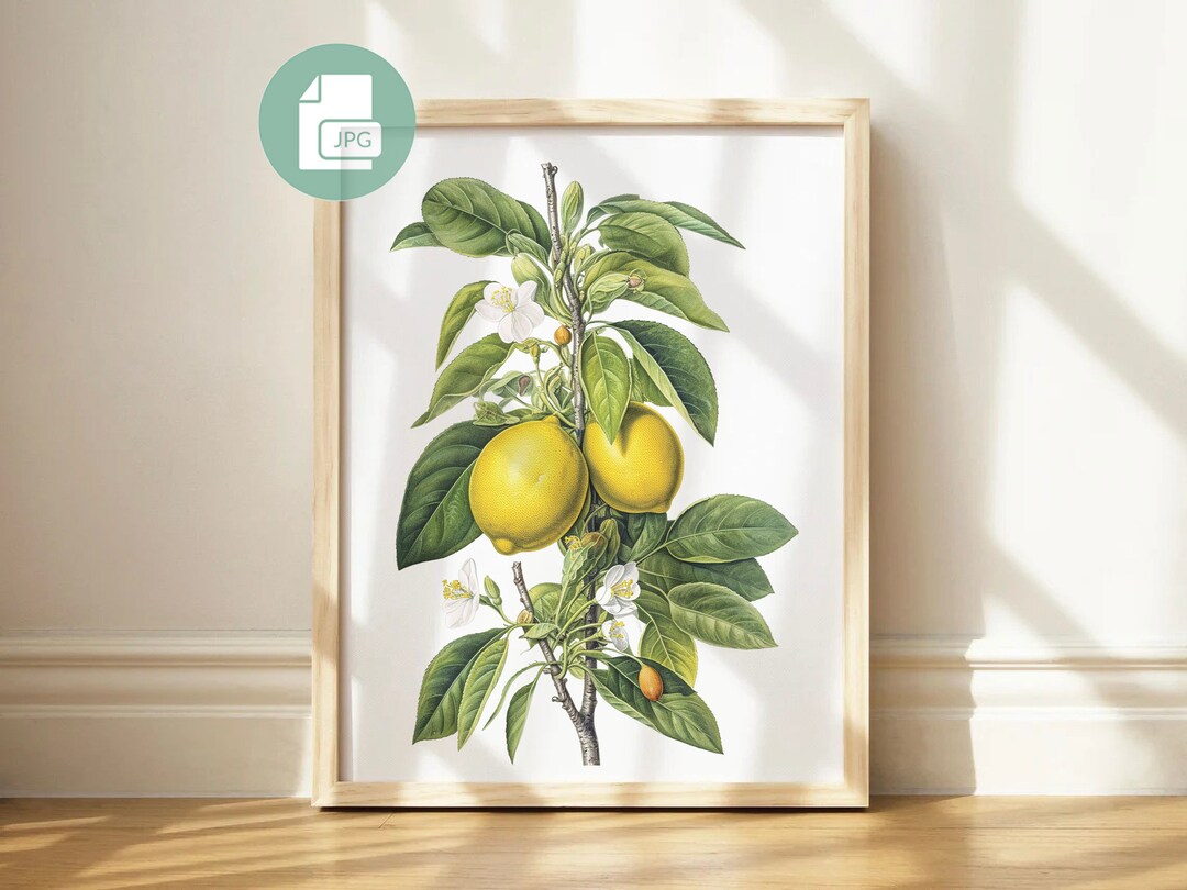 Vintage Lemon Print Citrus Summer Art Print Printable Wall Art Download