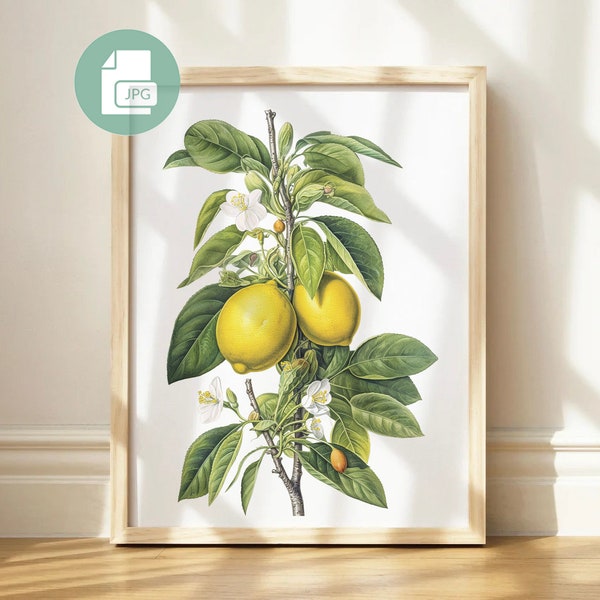 Lemon Print - Etsy