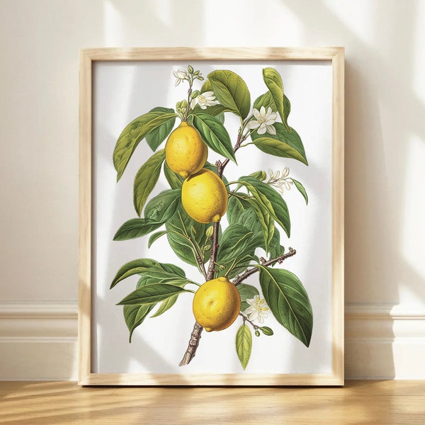 Lemon Kitchen - Etsy