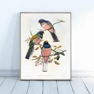 Vintage Bird Painting Printable Wall Art | Digital Prints | Digital Download | Digital Wall Art Download