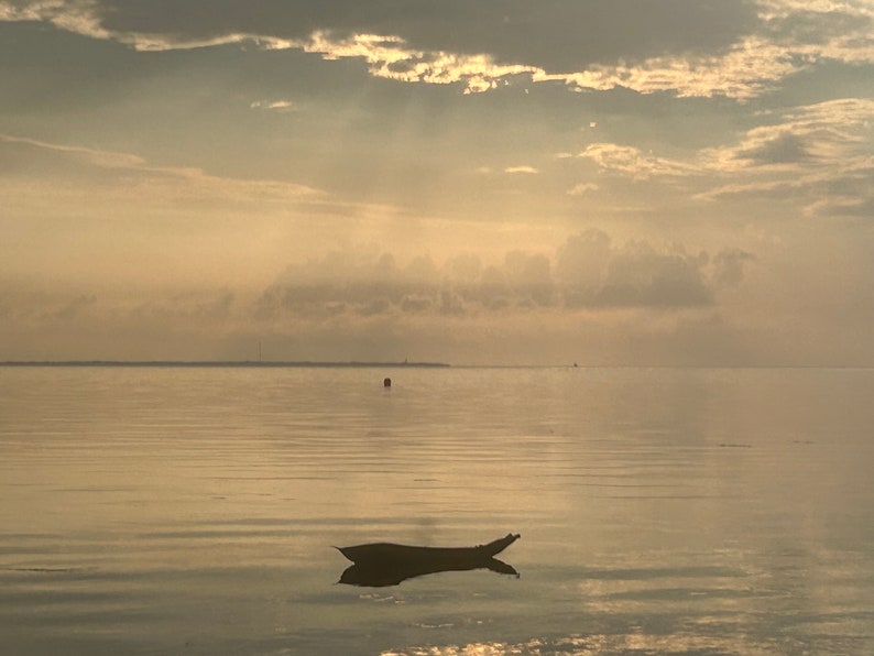 K&ouml;nnte beinhalten: Ein kleines Holzboot treibt auf ruhigem, stillem Wasser. Der Himmel ist in einem sanften, blassen Gelb mit zarten Wolken.