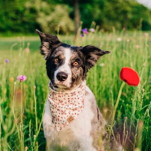 Howdy Partner Dog Bandana with Snaps, Summer Dog Bandana, Cat Bandana, Pet Accessories, Boho Style immagine 2