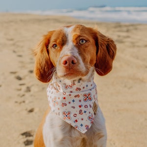 Howdy Partner Dog Bandana with Snaps, Summer Dog Bandana, Cat Bandana, Pet Accessories, Boho Style immagine 3