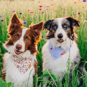 Howdy Partner Dog Bandana with Snaps, Summer Dog Bandana, Cat Bandana, Pet Accessories, Boho Style immagine 7