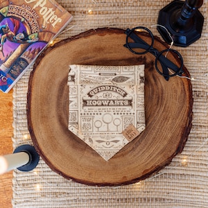 May include: A brown wooden round plate with a brown paper bag with a newspaper print design. The bag has the text "QUIDDITCH AT HOGWARTS" printed on it. The plate is on a woven mat with string lights. A book titled "Harry Potter and the Sorcerer's Stone" by J.K. Rowling is in the upper left corner of the image. A pair of black round glasses is on the plate.