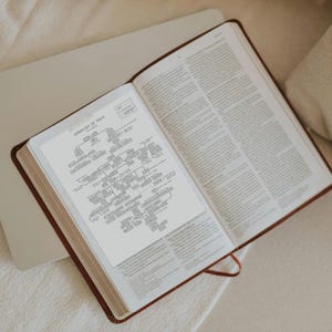 Pode incluir: Um livro aberto com capa castanha escura apresentando uma p&aacute;gina impressa intitulada Genealogy of Jesus. A p&aacute;gina exibe um complexo diagrama geneal&oacute;gico a preto e branco com linhas que ligam v&aacute;rios nomes e textos num fundo claro.