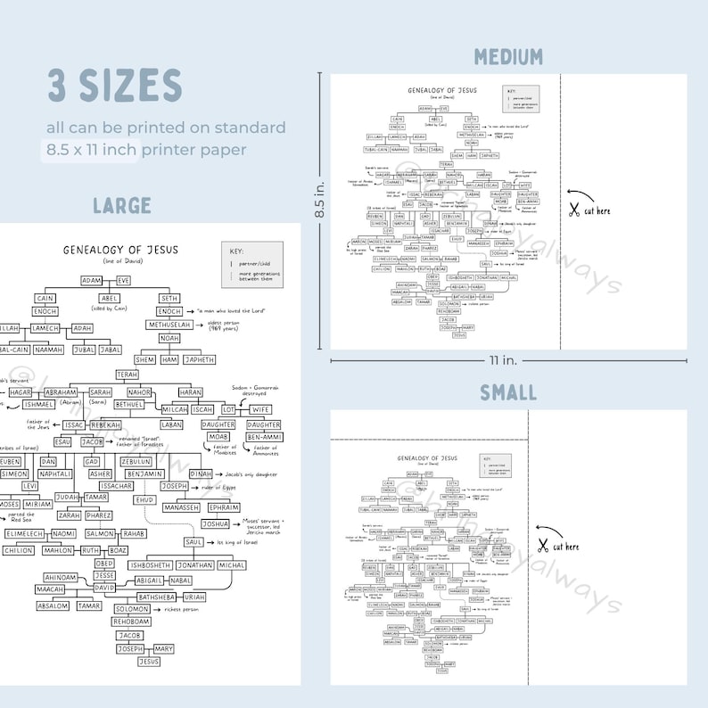 Pode incluir: Um gr&aacute;fico geneal&oacute;gico em preto e branco intitulado Genealogy of Jesus, mostrando tr&ecirc;s tamanhos rotulados como Large, Medium e Small. Os gr&aacute;ficos apresentam linhas e caixas com nomes, com as vers&otilde;es Medium e Small mostrando linhas de corte para papel de 21,59 x 27,94 cm.