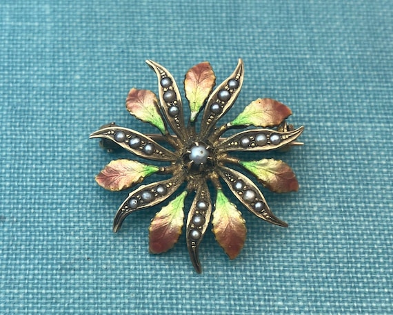 Victorian Seed Pearl Starburst Brooch with Enamel… - image 1