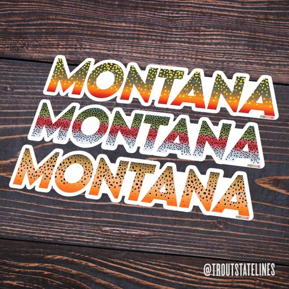 Montana Trout Stickers 3-pack Rainbow, Brook and Brown / Kiss Cut Decal / Fly  Fishing Outdoor Water Bottle Laptop Sticker 