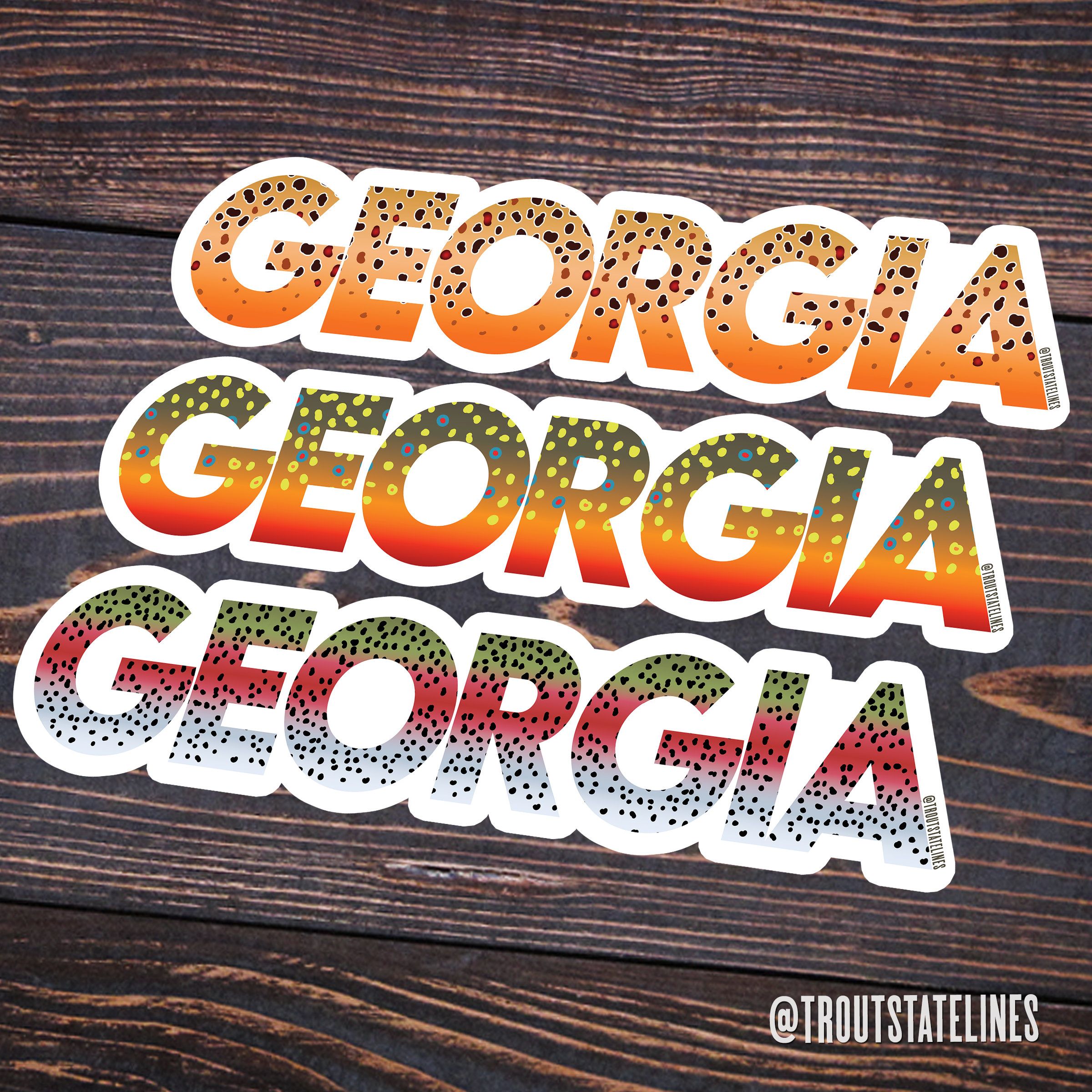 Georgia Native Sticker Georgia Trout Stickers 3-pack / Rainbow, Brook & Brown Trout / Fly ...