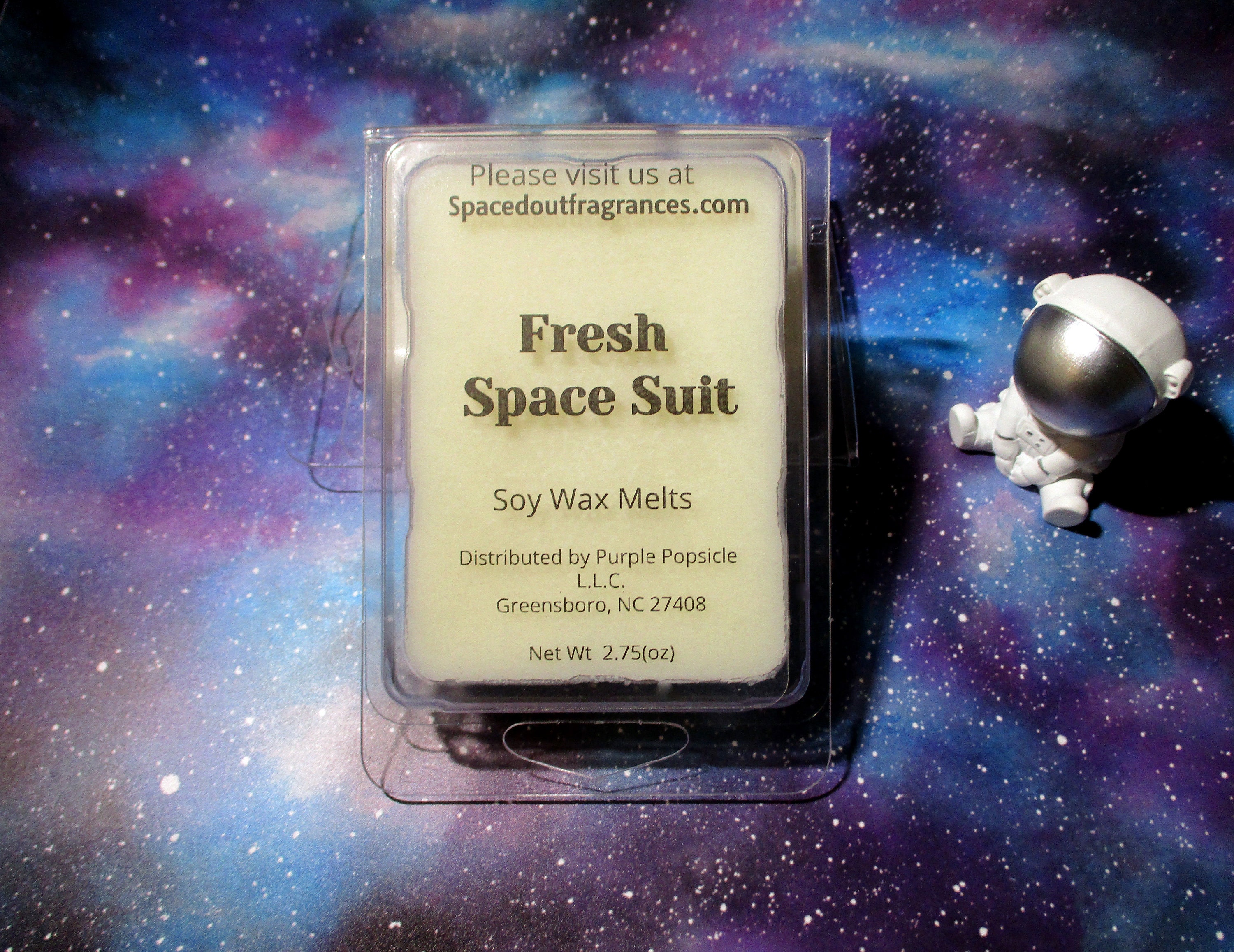Eucalyptus and Mint Soy Wax Melts Green Wax Melts Square Wax Melts Fresh  Scent Relaxing Scent Soy Wax Herbal Wax Melts handmade 