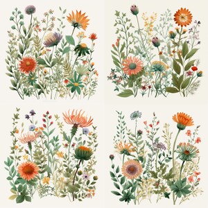 wild flower svg | svg files for cricut | flower svg | svg bundle | Botanical Svg | Floral svg |Botanical clipart |Flower Clipart