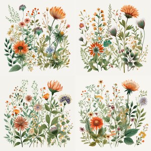 wild flower svg | svg files for cricut | flower svg | svg bundle | Botanical Svg | Floral svg |Botanical clipart |Flower Clipart |