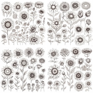 Sonnenblume SVG, Blume svg, digitaler Download, Clipart, SVG-Datei Cricut, wilde Blume svg, botanische svg, sofortiger download, svg, svg Bundle