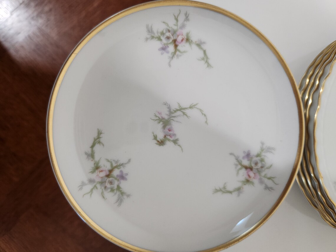 11 Pc Vogue Fine China Susanna Pattern Bread and Butter Etsy