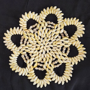Vintage Cowrie Seashell Shell Trivet, Hit Pad, Dolly, Hand Made, 8 petals, Excellent condition, approx 10.5&quot; across