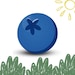BlueBerryMay