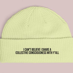 Sarcastic Beanie, Existential Humor Knit Hat, Streetwear Accessory