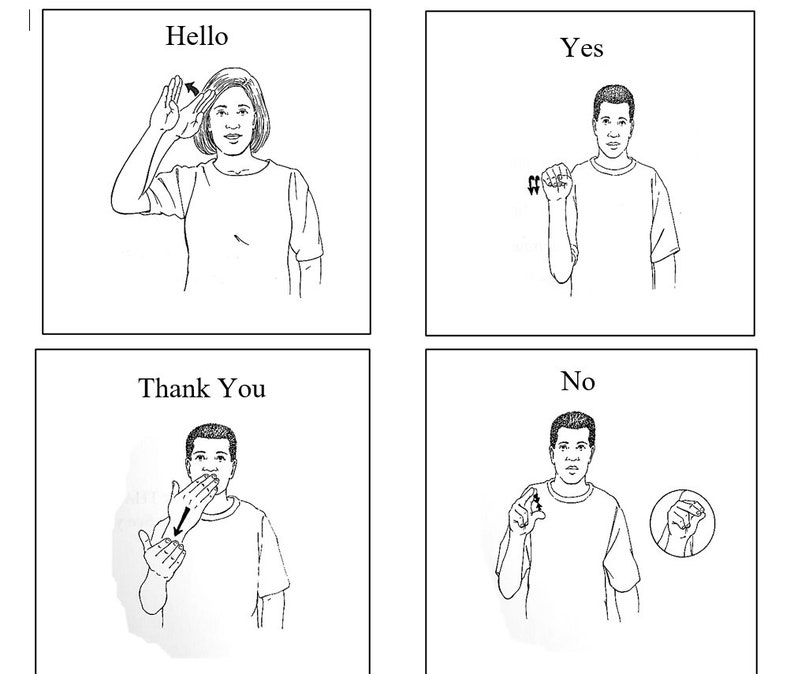 ASL Basics Cheat Sheet Etsy