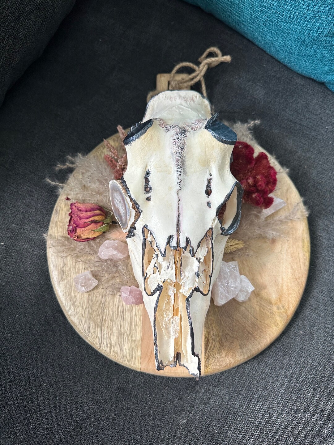 Animal Skull Wall Art Deer Skull Real Animal Bones Unique Gift Idea One