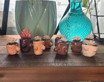 Hand Made Mini Boobie Succulent Planters
