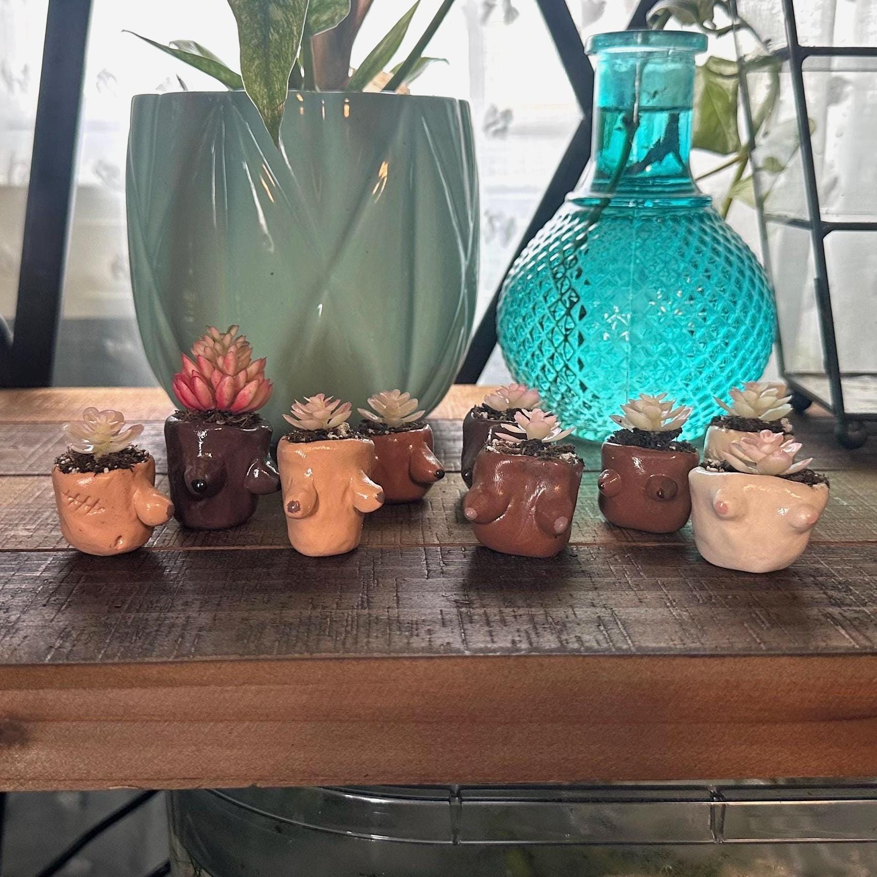 Hand Made Mini Boobie Succulent Planters