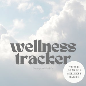 May include: A grey and white wellness tracker with the text "wellness tracker" and "from @catieleelifts" on a cloudy sky background. The text "WITH 41 IDEAS FOR WELLNESS HABITS" is in a white circle.