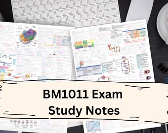 BM1011 Physiological System and Processes 1 - 2 pages summary exam notes