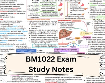 BM1022 Exam Study Notes - 2 pages