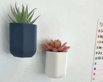 Small magnetic succulent plant pots for fridge or office, houseplant decor