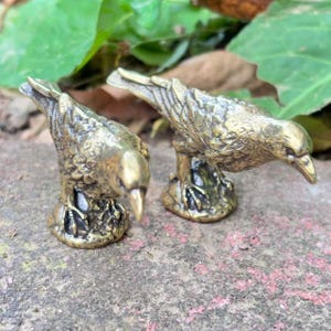 May include: Two small, detailed brass bird figurines. Each bird is perched on a textured base, with their beaks pointed downward. The birds have intricate feather detailing and a golden hue, suggesting a vintage or antique aesthetic.