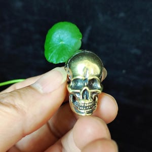 Op de afbeelding: Een kleine, messingkleurige schedelring. De ring wordt in een hand gehouden, met een groen blad op de achtergrond. De schedel heeft gedetailleerde kenmerken, waaronder oogkassen, een neusholte en tanden.
